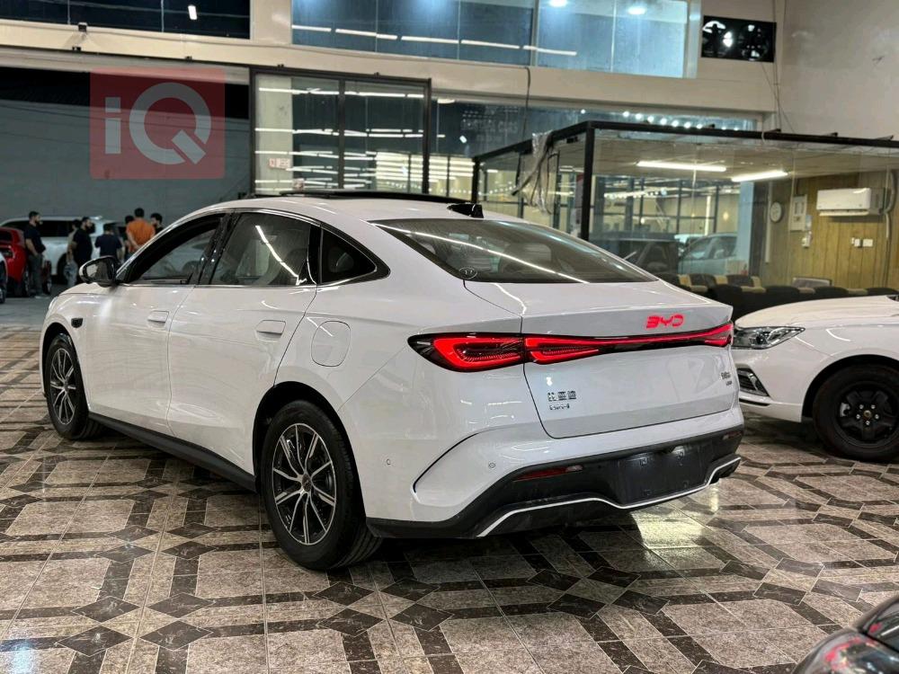 بي واي دي سيل 06 DM-i